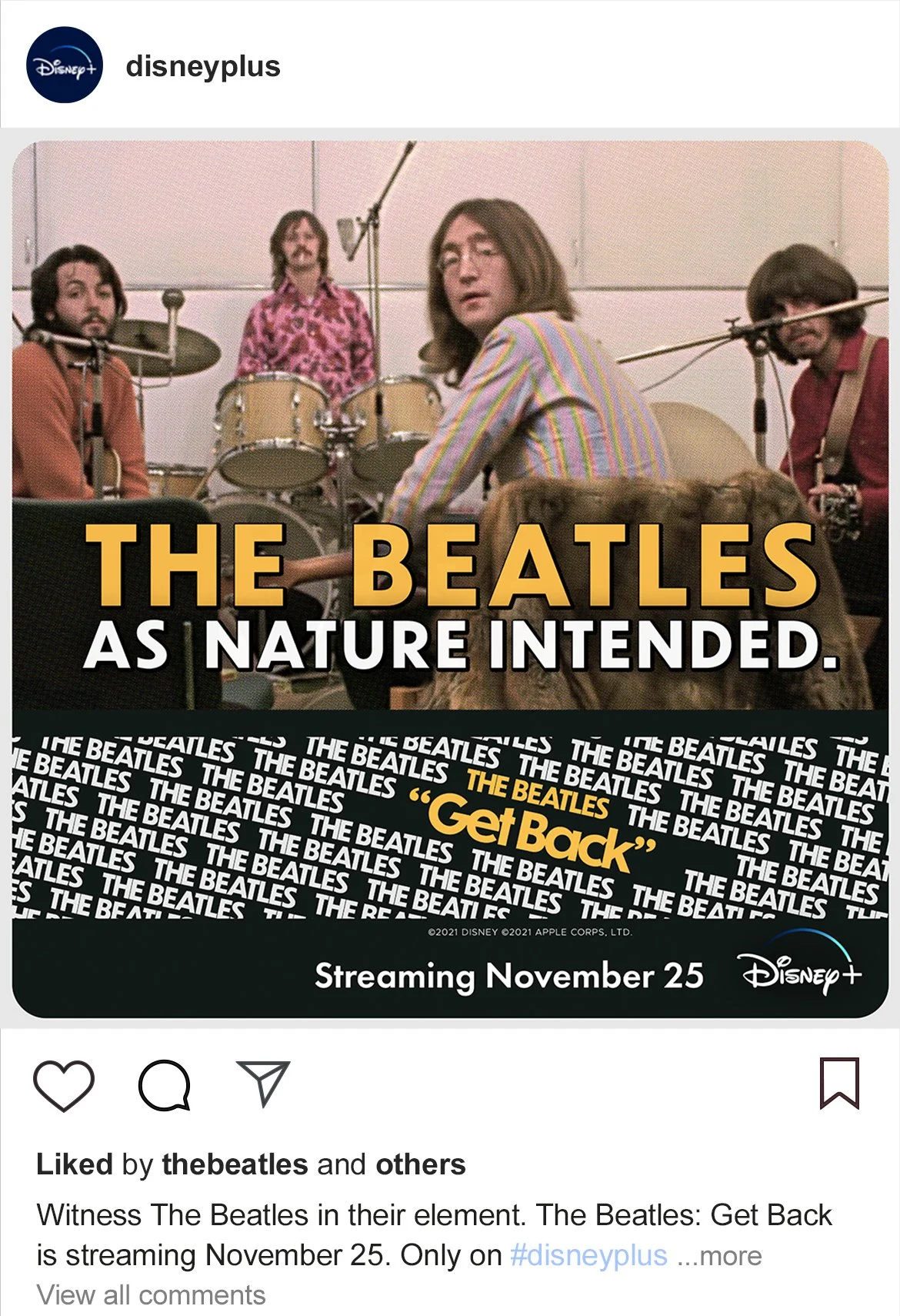 VIGOTONE！The Beatles/ AS NATURE INTENDED